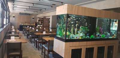 Churraskilo Verde Vale