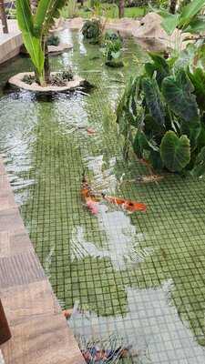 Barraca Coco Beach Brasil