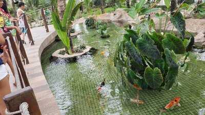 Barraca Coco Beach Brasil