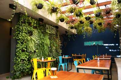 Loja Mestre-cervejeiro.com Sorocaba