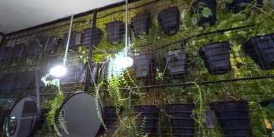 Loja Mestre-cervejeiro.com Sorocaba