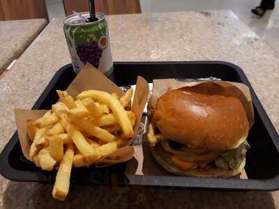 The Fifties Classics