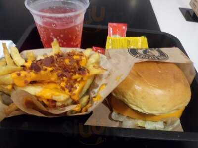 The Fifties Classics