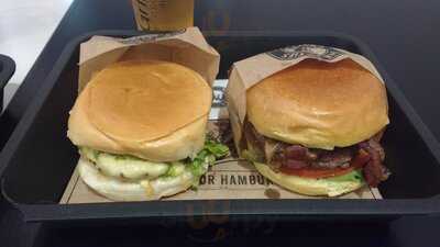 The Fifties Classics