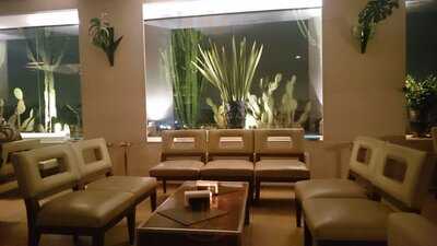 Skye Bar & Restaurante