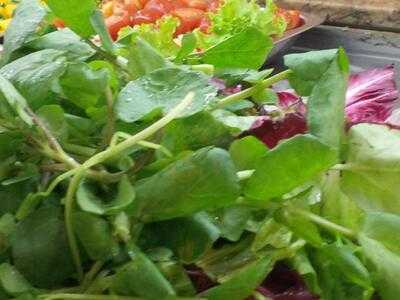 Restaurante Paradiso