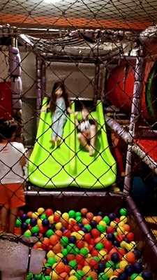 Franguinho Do Frajola