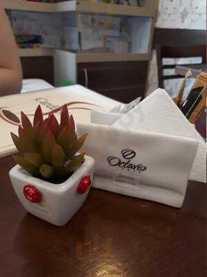 Cafeterapia Cafeteria E Revistaria Ltda