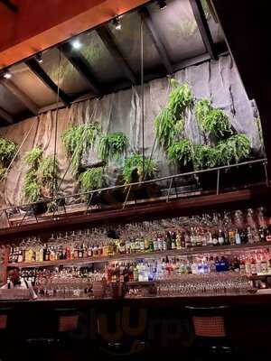 Pizzaria Veridiana Perdizes