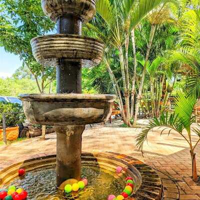 Restaurante Polaco Feijao Com Arroz