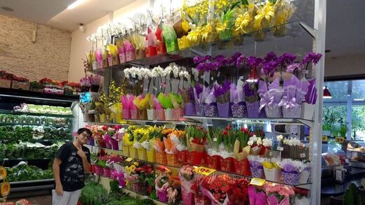 Sitio Verde Hortifruti