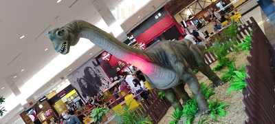 Camarão Da Ilha - Blumenau - Norte Shopping