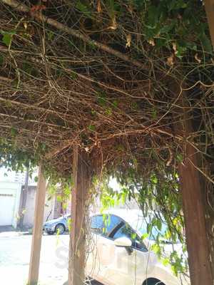 Diney Comida Caseira