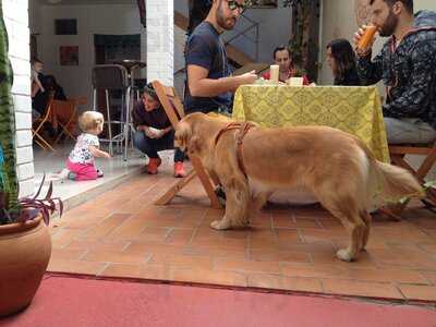 Manipura - Espaço Para Cuidar Do Ser