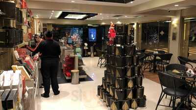 Antartico Chocolates E Cafes