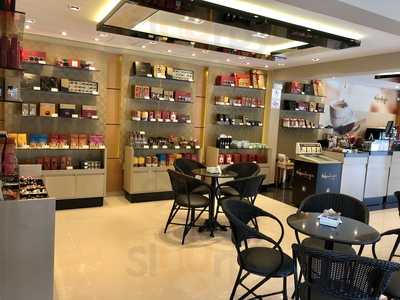 Antartico Chocolates E Cafes