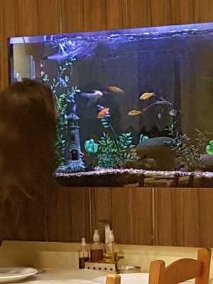 Guarnieri & Stuani Pizzaria