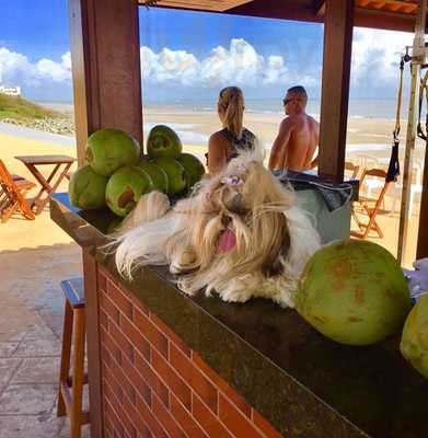 Quiosque Coco Fitness