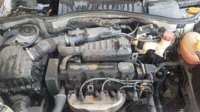 Lava Rapido Bob Esponja