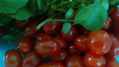 Kraus Bistrô E Choperia