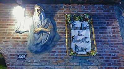 Fundos Da Floresta Bar