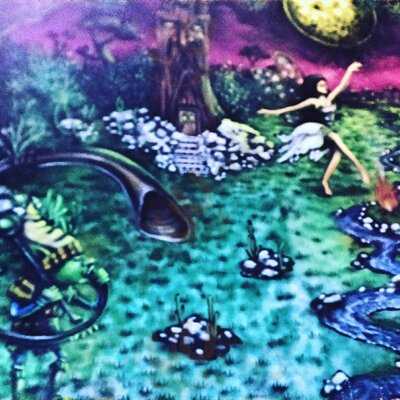 Fundos Da Floresta Bar