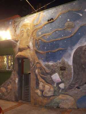 Fundos Da Floresta Bar