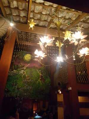 Fundos Da Floresta Bar