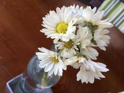 Quatro Estações Express E Café