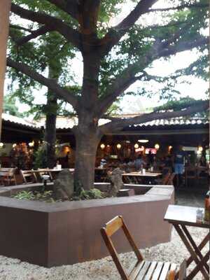 Massa Pizza & Grelhados