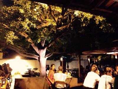 Massa Pizza & Grelhados