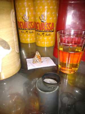 Mr, Taco Snooker Bar