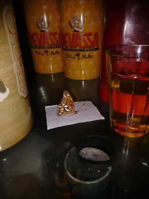 Mr, Taco Snooker Bar