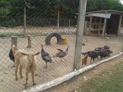 Pesqueiro Paraíso Da Pesca