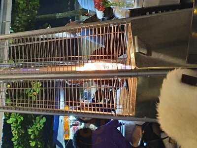 Aquarius Restaurante