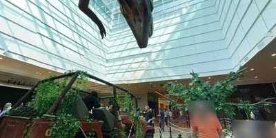 Koni Ribeirão Shopping