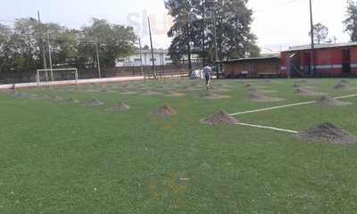 Toninho Futebol Society