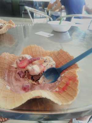 Dgust Sorvetes Artesanais