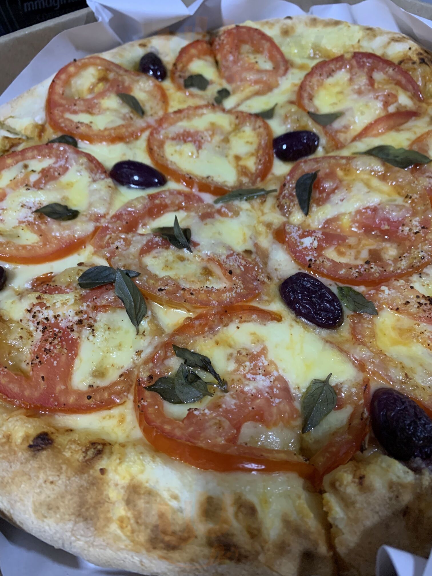 Dom Alccione Pizzaria