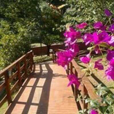 Doce Detalhe Casa De Chá