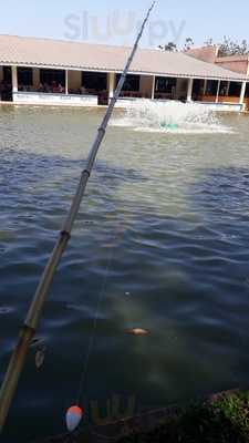 Lanchonete Triangulo