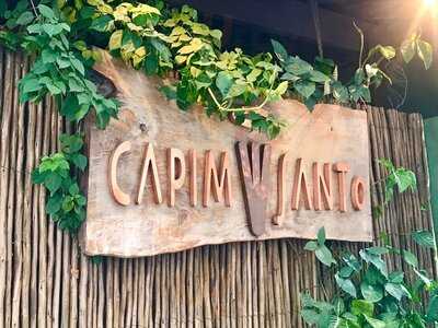 Capim Santo São Paulo