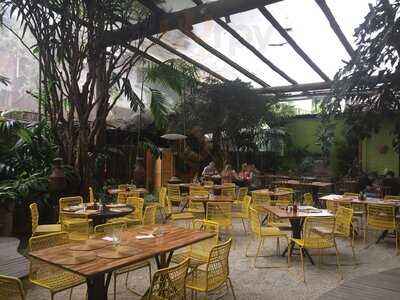 Capim Santo São Paulo