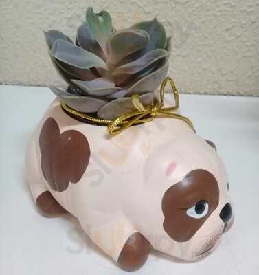 Aromas E Sabores Emporio Gourmet