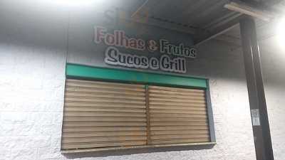 Folhas E Frutos