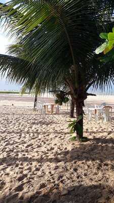 Quiosque Estrela Do Mar