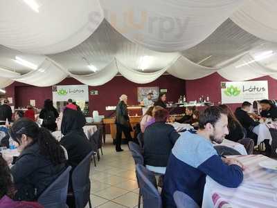 Lótus Restaurante