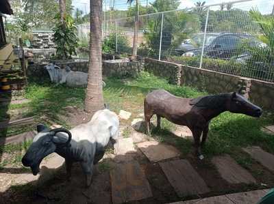 Restaurante Tempero Nordestino