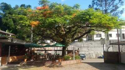 Flamboyant Grill E Chopperia