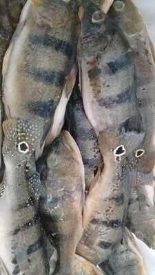 Peixada Nossa Senhora Da Penha